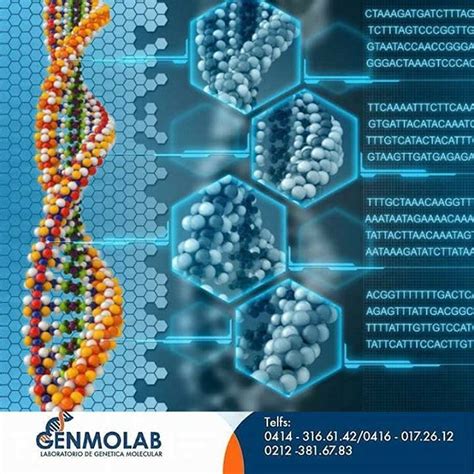 La Importancia Del Perfil De ADN En Trabajos De Alto Riesgo Genmolab