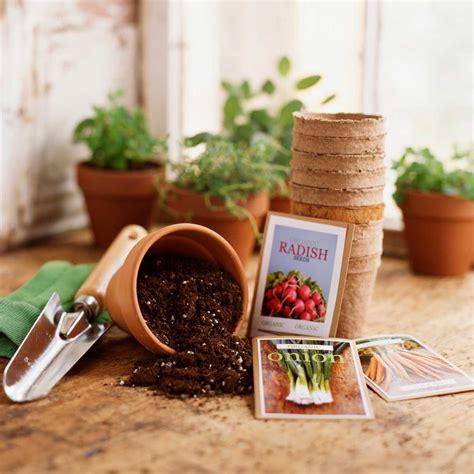 9 Places to Buy Garden Seeds | The Family Handyman