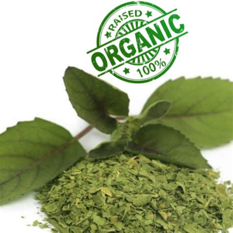 Dried Tulsi Leaf Powder Organic Holy Basil Ocimum Sanctum Herb Immunity