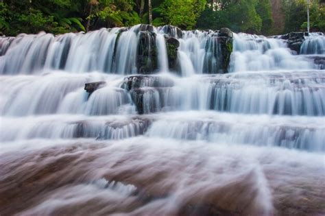 Premium Photo Liffey Falls State Reserve At The Midlands Region Of