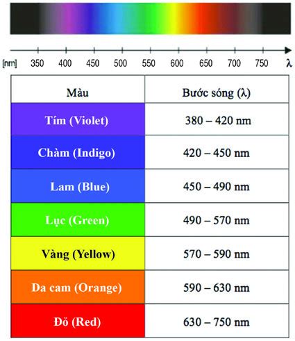 Lý Thuyết Giao Thoa Ánh Sáng - SGK Vật Lý 12