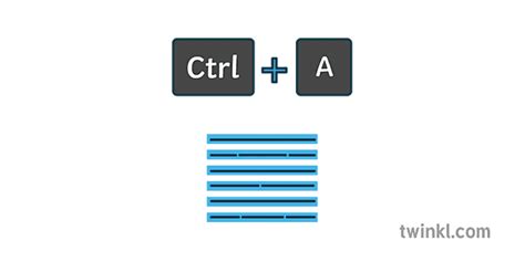 Sym Select All Keyboard Shortcut Colour Illustration Twinkl