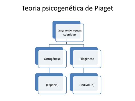 SOLUTION A Teoria Psicogenetica De Piaget E Suas Implicacoes