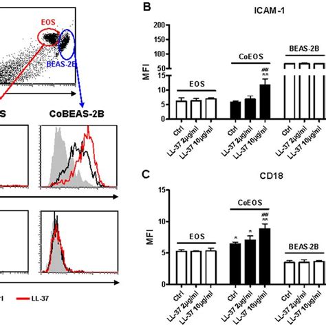 Effects Of Ll On The Surface Expression Of Icam And Cd On