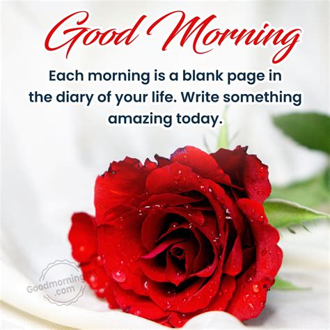 Good Morning Images With Rose Flowers In Hindi | Best Flower Site