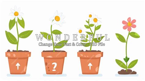 Premium PSD | Flower Growth Stages Illustration