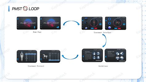 Kaphatech Newest Machines Pmst Loop Pro Max Pemf Magnetic Therapy