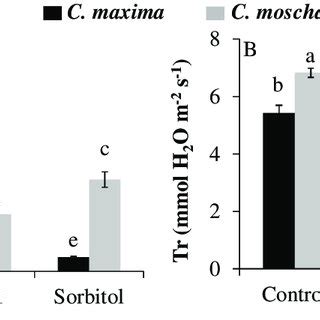 Relative Values NaCl Control For A B Leaf Stomatal Conductance G