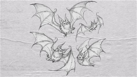 How To Draw Folded Bat Wings