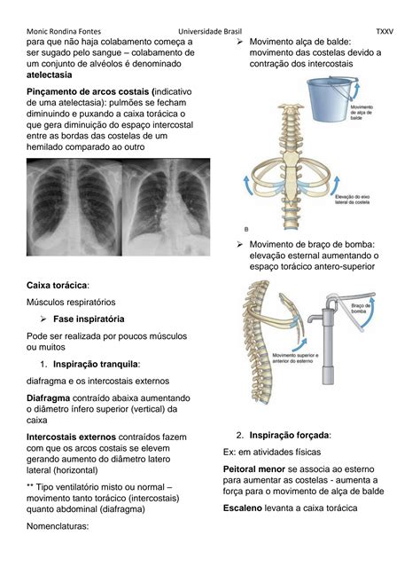 SOLUTION Tórax Anatomia da traqueia caixa torácica e pulmão