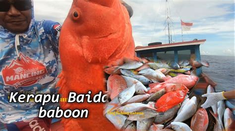 Mancing Kakap Di Laut Lepas Kedalaman Meter Teknik Handline