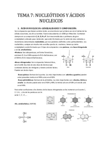 TEMA 7 NUCLEOTIDOS Y ACIDOS NUCLEICOS Pdf