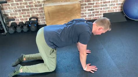 Quadruped Scapular Push Up Youtube