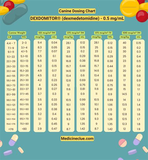 Dexdomitor Dose Chart And What You Need To Know