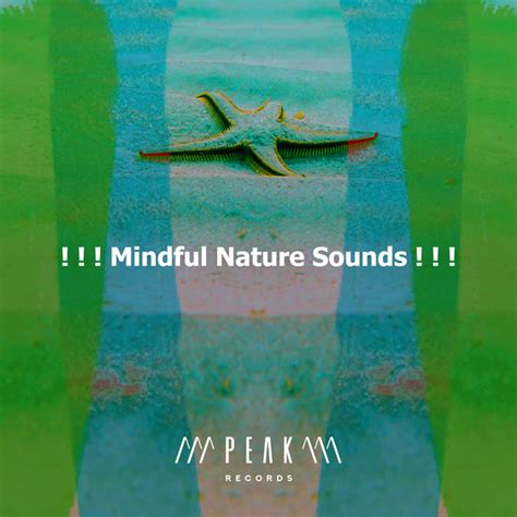 Mindful Nature Sounds Album By Relaxing Music Therapy Spotify