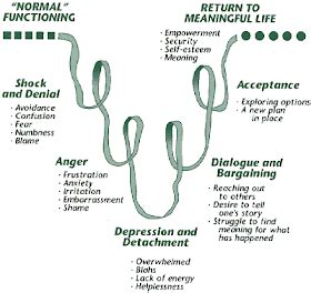 Curious Tendency: Elisabeth Kübler-Ross - 5 Stages Of Grief Model