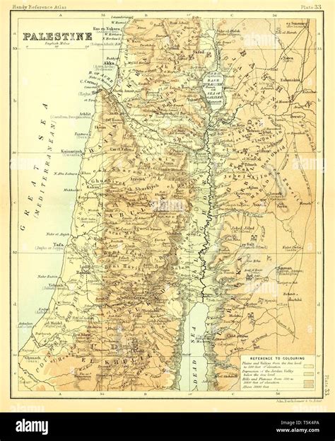 Palestine Map Drawing