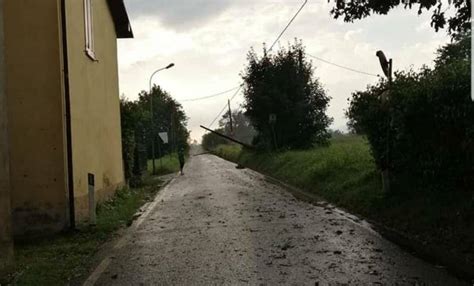 Pioggia E Grandine Sulla Brianza Alberi Caduti E Strade Chiuse MBNews