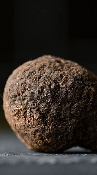 Accueil Maison Truffe Vin Luberon