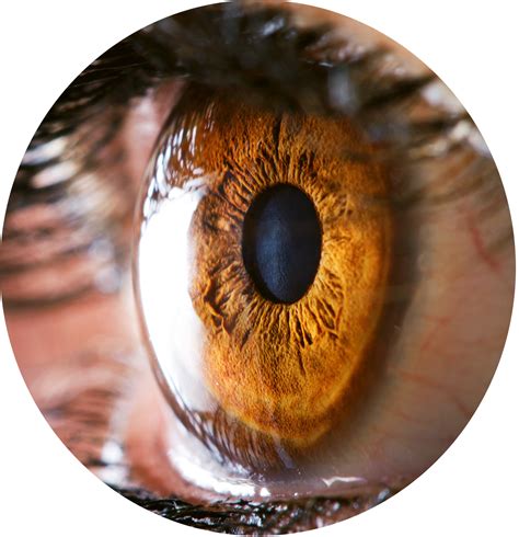 Best Eye Hospital In Bathinda | Vasu Eye and Skin Hospital