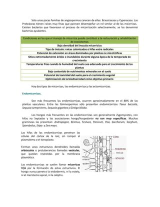 Hongos En El Suelotrabajo PDF