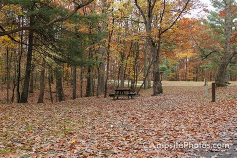 Babcock State Park - Campsite Photos, Reservations & Camping Info