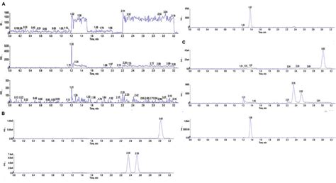 Typical Mrm Chromatograms Of Isoeleutherin Eleutherin And Eleutherol