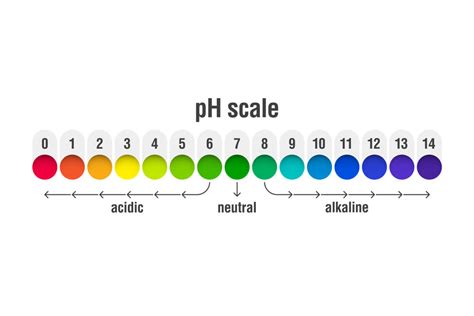 Qu Es El Ph Ph En El Agua Y En El Cuerpo Alkanatur Expertos En