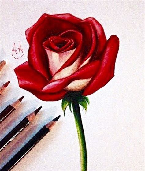 C Mo Dibujar Una Rosa Realista A Color Paso A Paso Muy F Cil