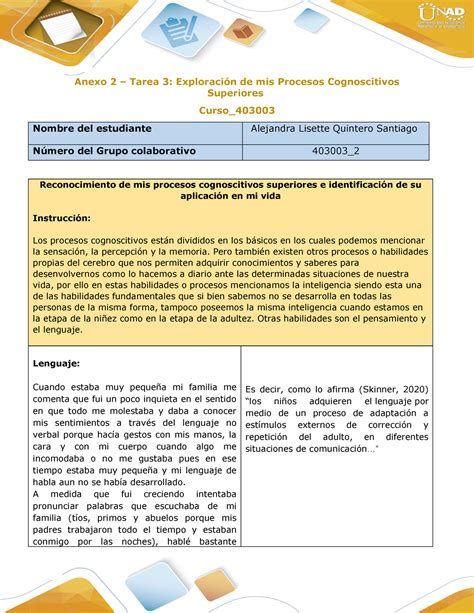 Anexo Tarea Matriz Individual Procesos Cognoscitivos Superiores