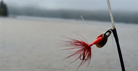 Best Baits For Winter Fishing Tempting Cold Weather Bass Take Me