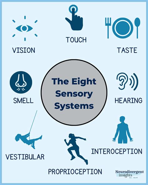 8 Senses Hidden Sensory Systems