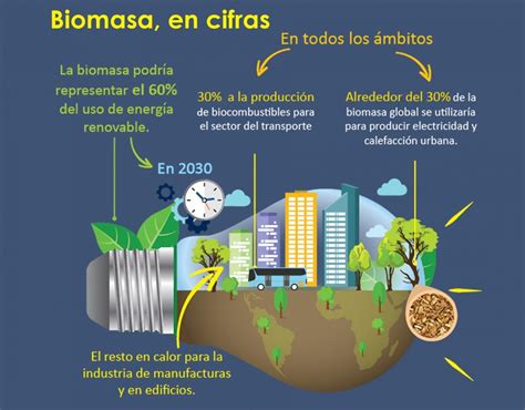 Biomasa Un Futuro Prometedor Pensis