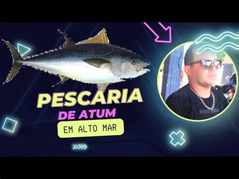 Pescaria De Atum Em Alto Mar YouTube