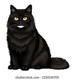 Black Cat Drawn Digital Painting Watercolor Stock Vector (Royalty Free) 2250530705 | Shutterstock