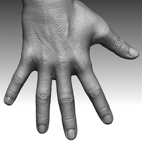 Realistic Hand Free 3d Model 3ds Obj Dae Fbx Mtl Free3d