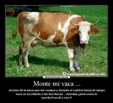 Imágenes Y Carteles De Vaca Pag 124 Desmotivaciones