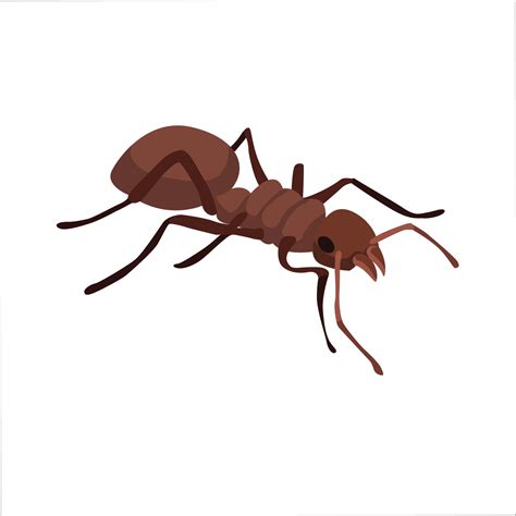 Ant Color Clipart Vector Illustration Design 3235691 Vector Art at Vecteezy