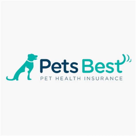 Best Pet Insurance For Cats 2024: Is It Worth It? - Love Your Cat