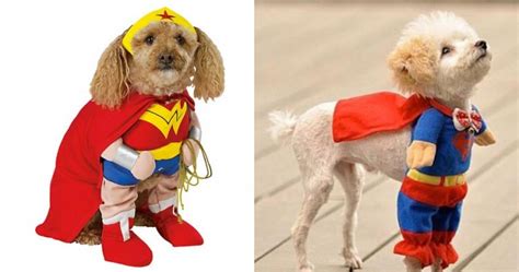 Primal -25 Dog Costumes That Will Make You LOL