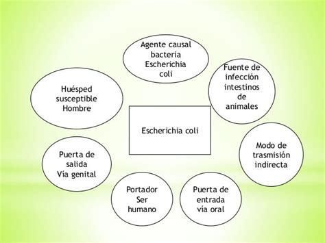 Cadenas Epidemiologicas