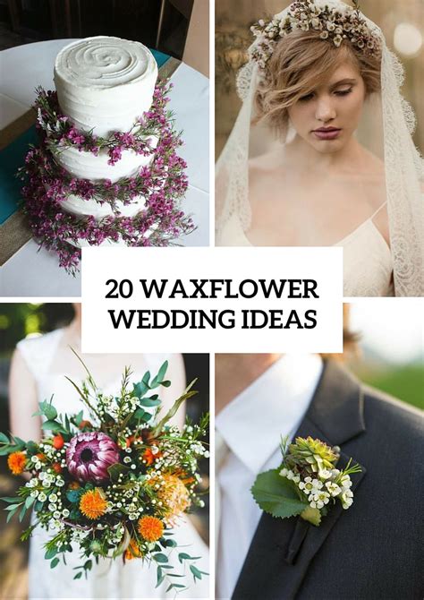 20 Cute Ideas To Incorporate Waxflowers Into Your Wedding - Weddingomania