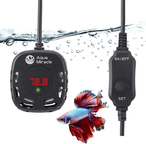 Amazon DaToo Small Aquarium Heater 100W Mini Fish Tank Heater 100