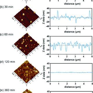 Contact Mode Afm Images Of Pla Film Surfaces The Left Column And