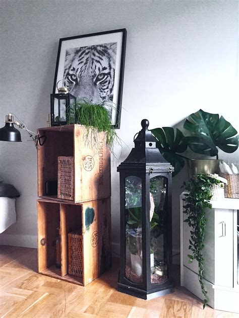 A home for a crested gecko. #terrarium #diy #tips #idea #design # ...