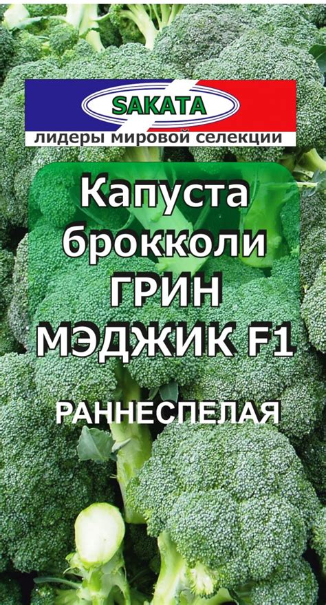 Капуста брокколи грин мэджик f1 описание - фото