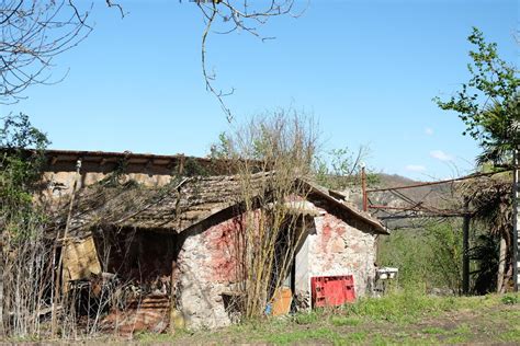 Escursione Riserva Monte Casoli E Selva Malano Avventurosamente