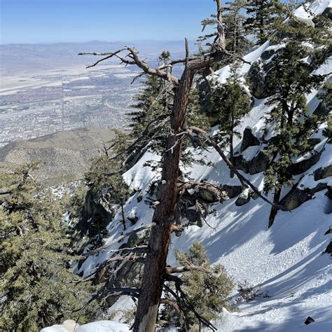 Palm Springs Aerial Tramway Tickets - Palm Springs | Tiqets.com