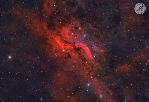 Nebulosa Elica Apod By Astronomia