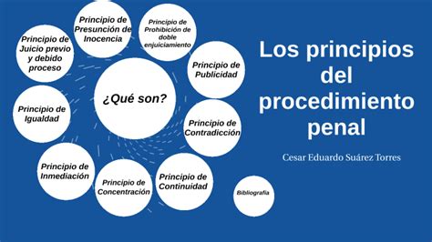 Los Principios Del Procedimiento Penal By Cesar Eduardo Suárez Torres